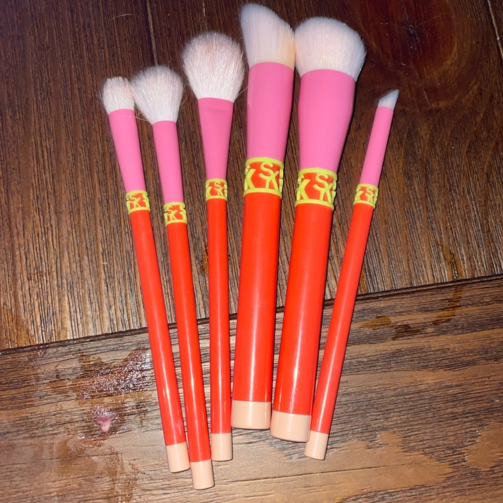 GENTLY USED 6 count Sonia Kashuk brush set!